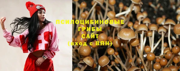 соль курить ск Липки