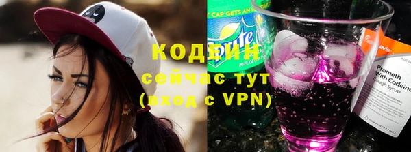 индика Новый Уренгой