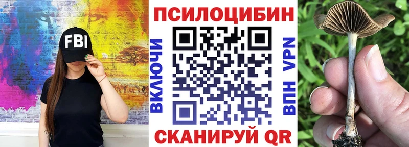 купить наркотики сайты Сусуман hydra зеркало Галлюциногенные грибы Cubensis
